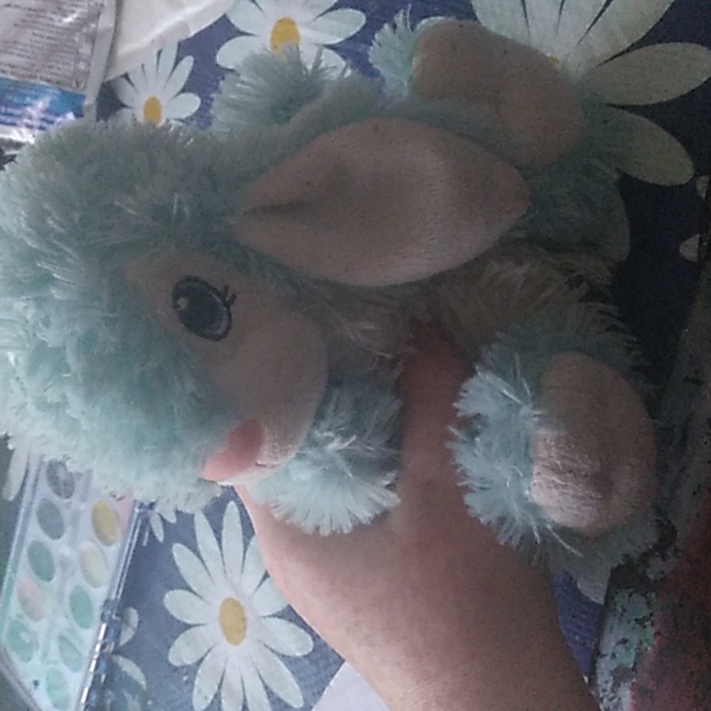 Little stuffed bunny